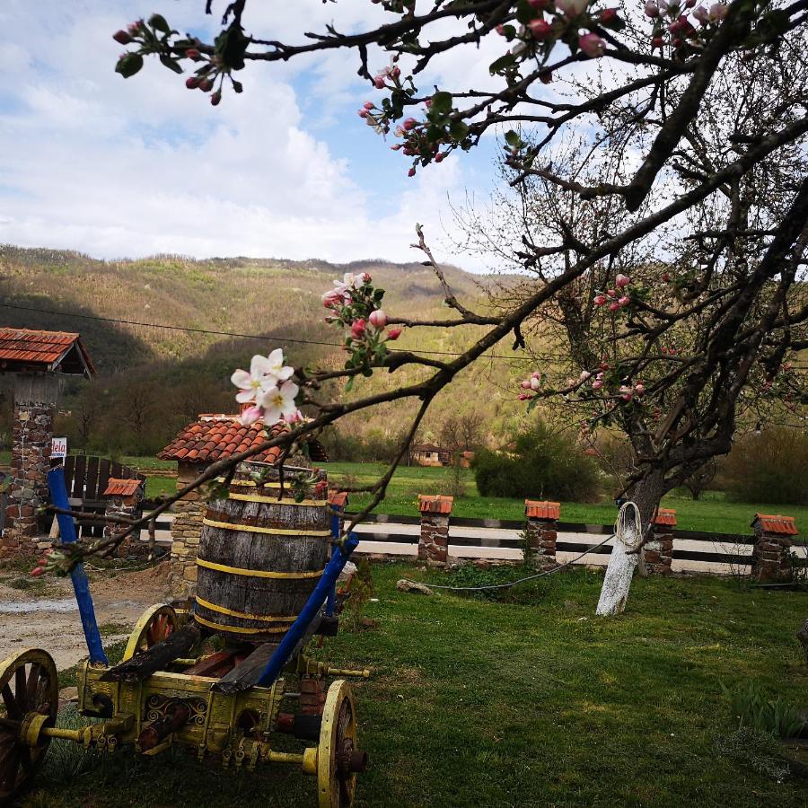 Hotel Etno Konak Angela Kalna Esterno foto